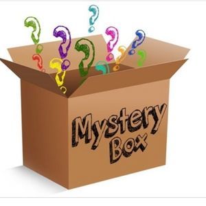 Kids Clothing Mystery Box Reseller Box Bundle Lot Inventory Boy Girl